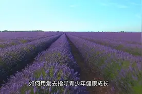 如何用爱去指导青少年健康成长