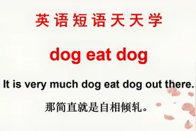 趣味学英语：dog eat dog什么意思？难道是狗吃狗？一起学英语！视频封面