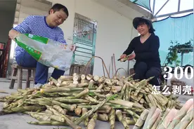 新鲜竹笋怎么剥壳快，方法简单三秒一个，甚至比脱衣服还快视频封面