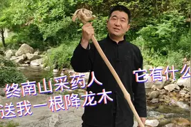 终南山采药人送我一根降龙木，又称六道木，皇帝喜欢用它做筷子？视频封面
