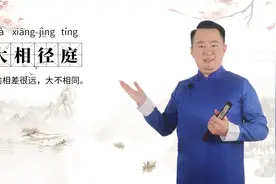 轻松学成语——大相径庭视频封面
