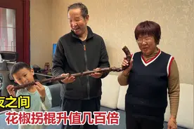 公公种植五年的花椒拐棍，一夜之间变成紫檀色，有人给套房都不卖视频封面