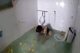 有趣动物盘点：男子和100只小鸭子泡澡，厕所当泳池，画面治愈！视频封面