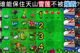植物大战僵尸：4队植物守护天山雪莲，谁能打败僵尸保住雪莲呢？