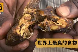 一部味道十足的影片，世界最臭食物鲱鱼罐头，隔着屏幕都能闻到味