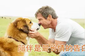 狗对人类有多忠诚？房间起大火，小狗拼命叫醒熟睡的主人一起逃跑视频封面
