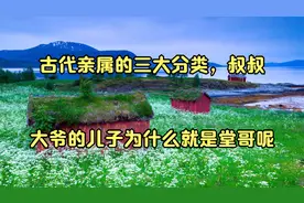 古代亲属的三大分类，叔叔大爷的儿子为什么就是堂哥呢