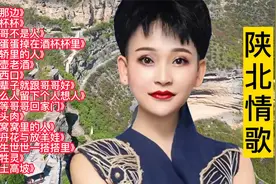 陕北民歌精选16首大联唱视频封面