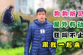 狗听到门外有动静就狂叫主人很焦虑想把它声带割了我教你如何纠正视频封面