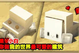 教你做我的世界最可爱的建筑!小黑O小白@渣渣辉TD视频封面