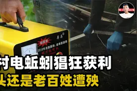 为什么农村电蚯蚓这么猖狂？一次捕获50斤，遭殃的还是老百姓自己视频封面