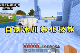 我的世界210：自制冰川养北极熊！为了一种动物，建了一种地形！
