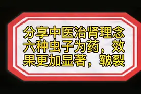 中医祖传配方，虫子为药治肾病，肾内专家耐心讲解，受益者众多视频封面