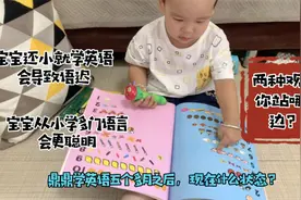 宝宝同时中英双语启蒙，会导致语言混淆？2岁孩子鼎鼎以身示范！视频封面