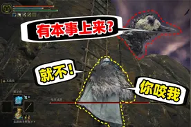 【艾尔登法环】死亡37次，终于找到打败坠星成兽的最强方法！视频封面