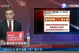8210亿元 春节消费“牛”劲十足视频封面