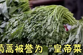 茼蒿被誉为“皇帝菜”，是中医眼中的宝贝！可以振阳气、促消化视频封面