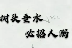 俗语：树头垂水，必招人溺，是什么意思？河边种树有什么讲究呢视频封面