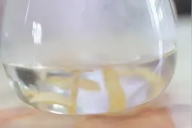 90岁奶奶常年喝一种特质饮品，据说有补气功效，特别适宜老年人视频封面