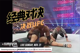 俄罗斯棕熊1掌8000斤拍裂象背，被李小龙回旋踢3秒踢死!真猛!视频封面