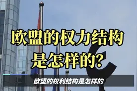 欧盟的权力结构是怎样的?又是怎么运作的？视频封面