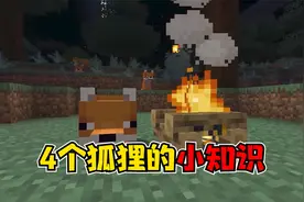我的世界：4个关于狐狸的小知识，狐狸到底怎么叫
