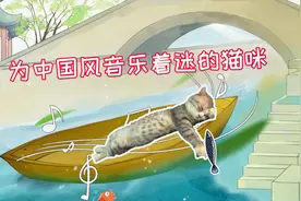 外国小哥给猫咪演奏中国风音乐，结果...真香！视频封面