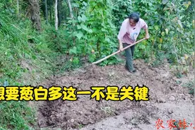 小凤妈妈告诉你，湖北恩施特产“苦葱”的栽培技术，葱白又多又长视频封面