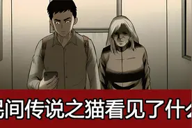 小涛讲奇闻奇事：猫真的拥有“阴阳眼”吗？视频封面