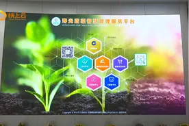 潍坊寿光：“智慧+大数据”为农业发展注入一池春水视频封面
