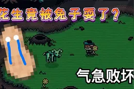 邪恶铭刻：一只兔子就能戏耍花生！气的花生当场吃了桌子？视频封面