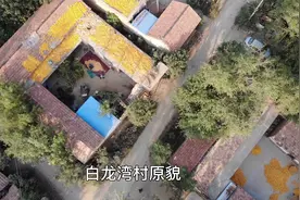 高青县木李镇龙湾社区视频封面