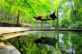 【红火绵音】落絮飞花日又西，踏青无侣草萋萋。视频封面