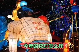 潍坊元宵节赏花灯好去处，各种游玩设施还有小吃，就是有点冷清视频封面