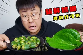 致癌率高达66%？东北老铁第一次吃新鲜槟榔，又苦又涩太上头了视频封面