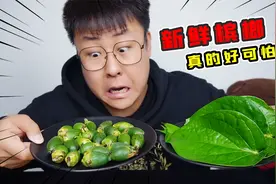 致癌率高达66%？东北老铁第一次吃新鲜槟榔，又苦又涩太上头了视频封面