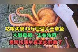 姑娘买条34斤大王章鱼，大厨直接“生吞活剥”，煮熟切薄片真鲜嫩视频封面
