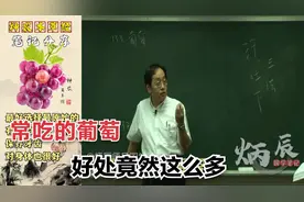 常吃的葡萄，竟然有这么多好处（倪海厦）