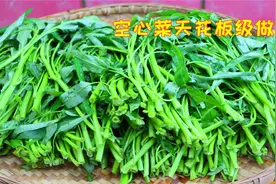 我把空心菜做绝了，堪称天花板级别做法，每一口下去都是鲜香脆爽