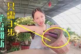 只需3步，轻松清洁花盆上的盐碱物，再泡点这种水比新盆都好用视频封面