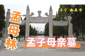 实拍山东曲阜孟母林，孟子的母亲在此长眠，对待孩子教育她很厉害视频封面