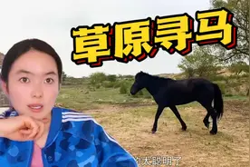 牧区的马通人性？蒙古族姑娘草原徒步找马，发现战况凶猛不敢靠近视频封面