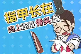 指甲长在肉上还是骨头上视频封面