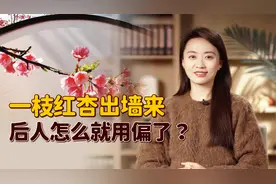 “一枝红杏出墙来”，怎么就被用歪了？杏花招谁惹谁了？视频封面