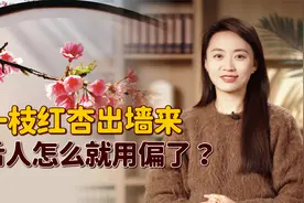 “一枝红杏出墙来”，怎么就被用歪了？杏花招谁惹谁了？视频封面
