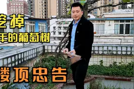 小伙为何挖掉楼顶5年的葡萄树？道出3个原因，最后给出一个忠告视频封面