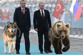 盘点20国动物国宝：印度是虎、美国是鹰，第15个国家国宝你经常吃