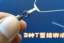 3种常用的T型结绑法，各种钓法都可用到的线结视频封面