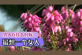 男人在什么时候，最想念一个女人......视频封面
