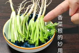 香菜根放进锅里煮，作用太厉害了，知道的人不多，简单省钱又实用